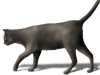 Captcha image 3566